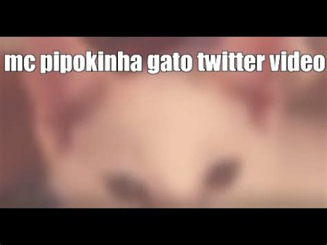 vdeo da mc pipokinha com os gatos|No vídeo, MC Pipokinha tem os seios lambidos por um gato